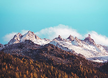 张镇麟对阵广东个人集锦回顾，全场得到23分3板2断